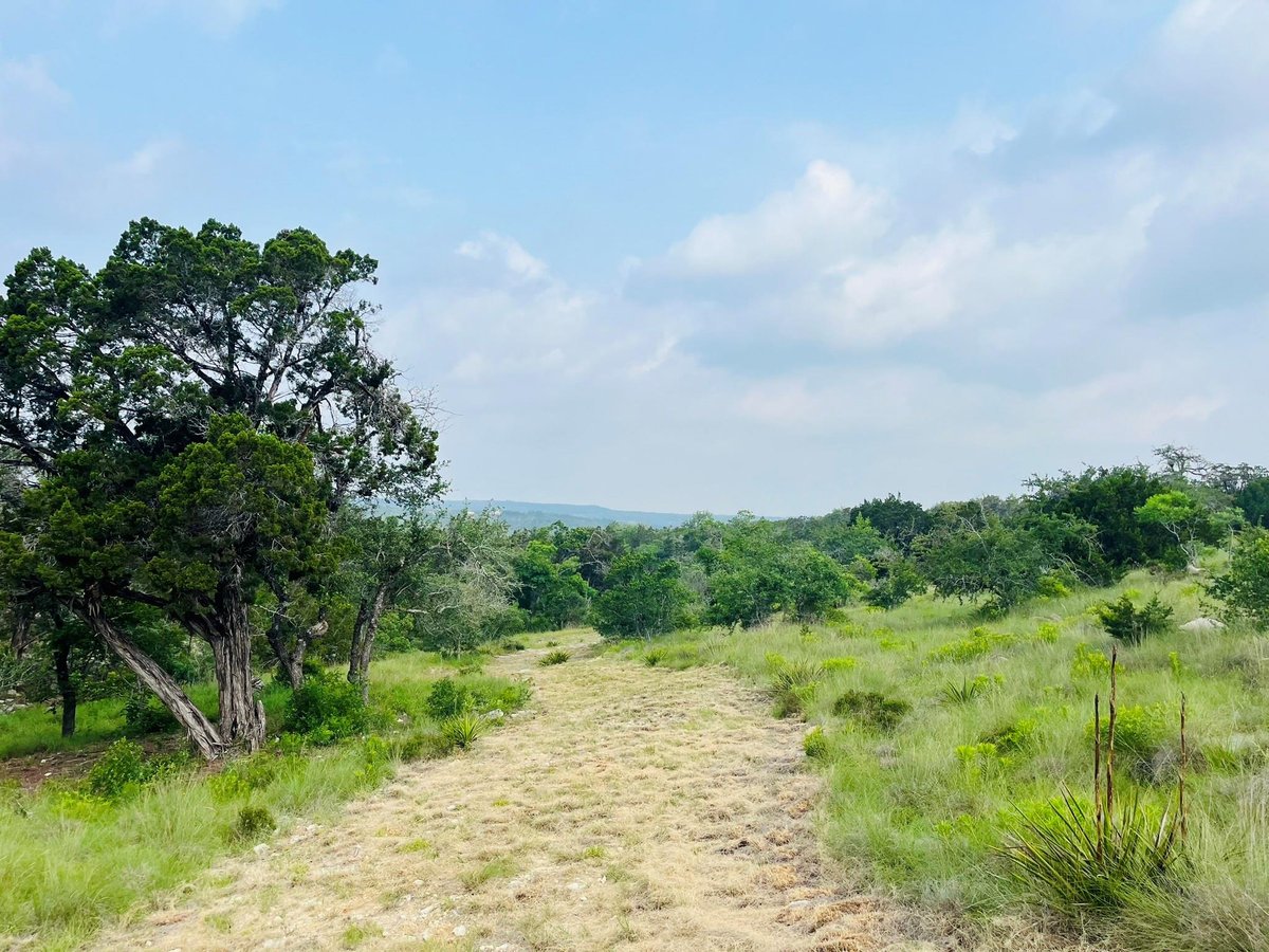 Primary bedroom at 509 Greystone Rd - Hurlbut Ranch West, Dripping Springs, TX