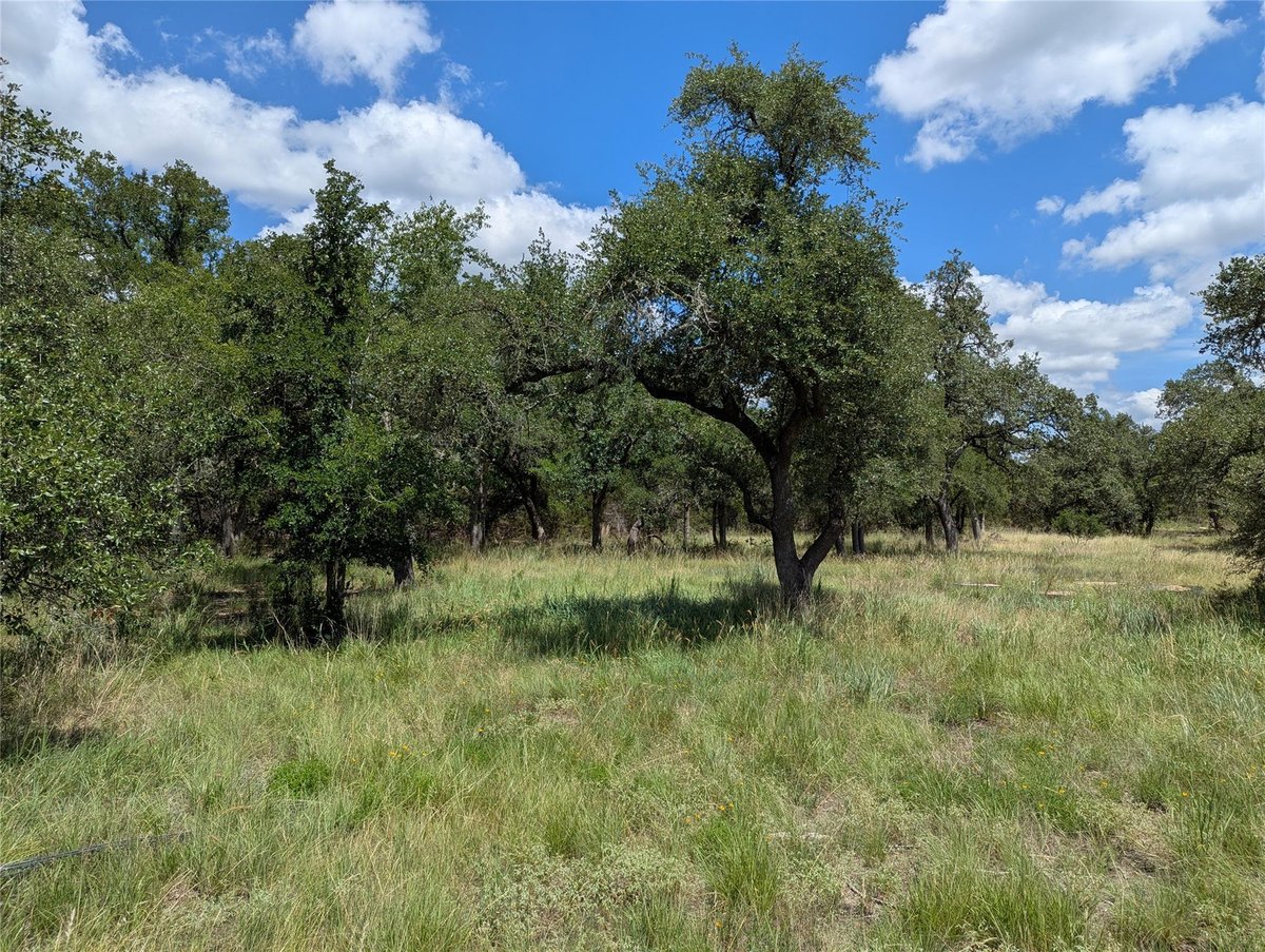 Primary bedroom at 5165 Lone Man Mountain Rd - Rolling Oaks, Wimberley, TX
