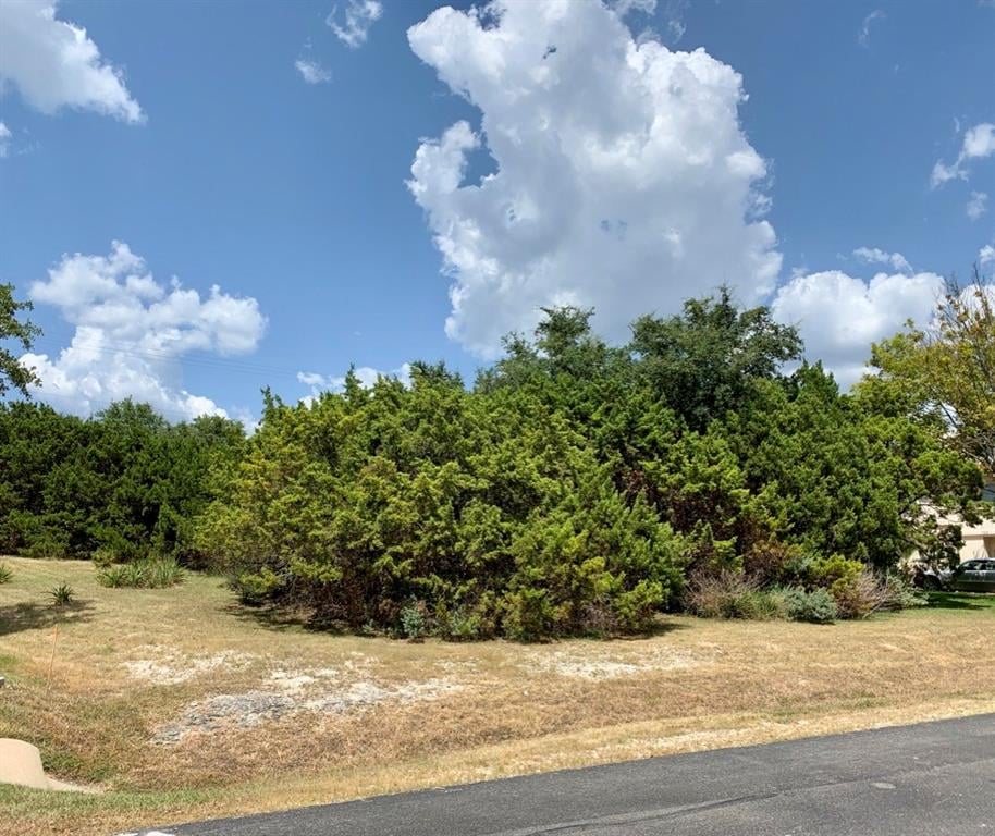 View 52 Cottondale RD 52 Cottondale RD - front exterior - Luxury lot in The Hills, TX