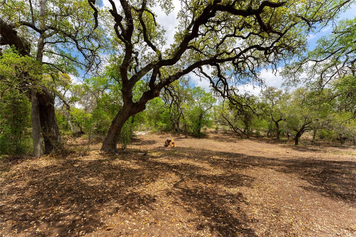 Primary bedroom at 523 Dario Dr - Creek Road Ranch Sec 3, Dripping Springs, TX