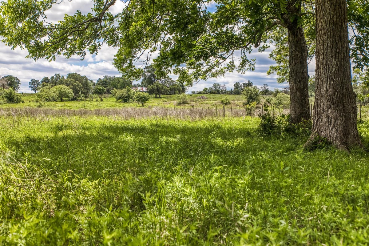 View 5233 County Road 106 in Other 5233 County Road 106 - front exterior - Luxury home in Other, Caldwell, TX