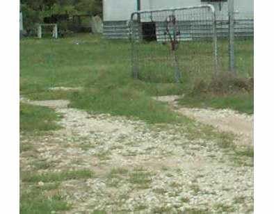 View 524 Catfish LN 524 Catfish LN - front exterior - Luxury lot in Lockhart, TX