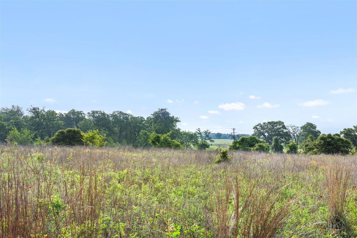 View 5241 County Road 358 CRST in other 5241 County Road 358 CRST - front exterior - Luxury lot in other, Caldwell, TX