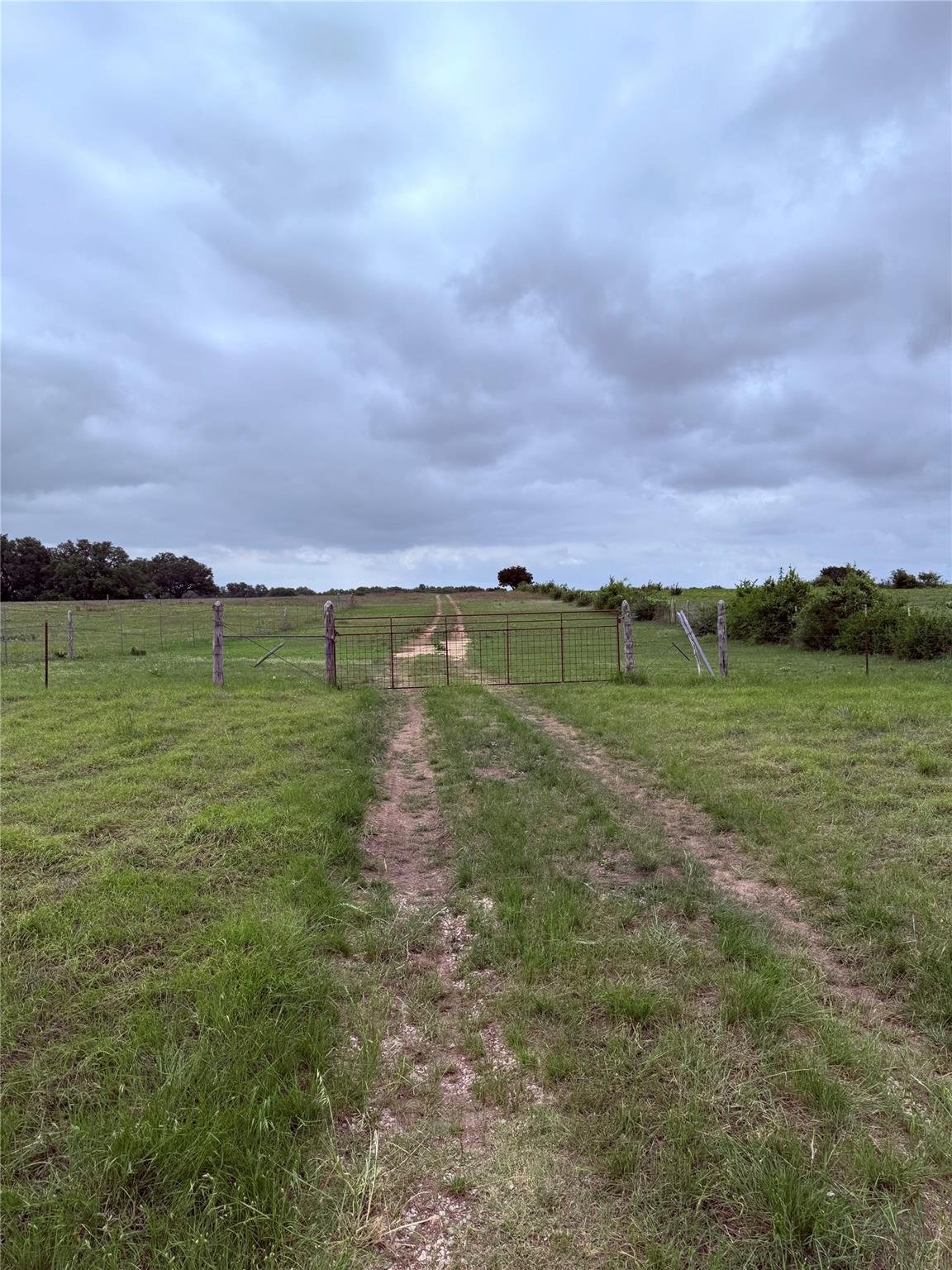 View 5341 Cr 236 in None 5341 Cr 236 - front exterior - Luxury home in None, Liberty Hill, TX