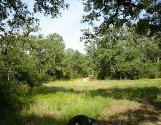 View 543 Pine Canyon DR 543 Pine Canyon DR - front exterior - Luxury lot in Smithville, TX