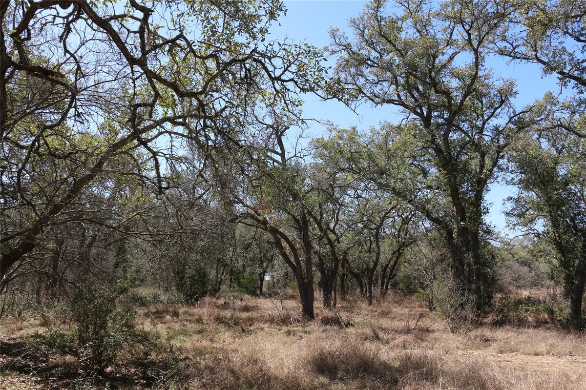 View 5688 Fm 2325 in NA 5688 Fm 2325 - view with 5688 Fm 2325 in Wimberley - Luxury home in NA, Wimberley, TX