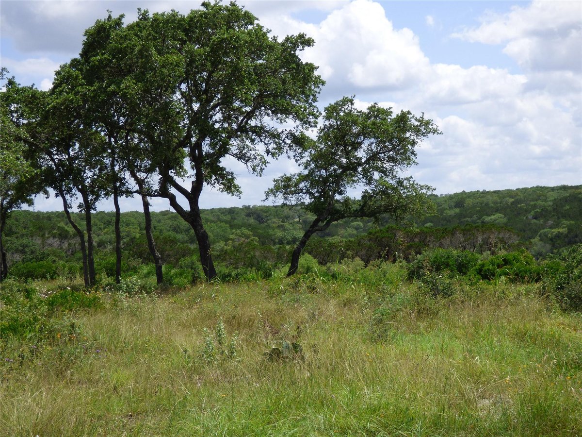 Primary bedroom at 5771 Hilliard Rd - Lost River Ranches, San Marcos, TX
