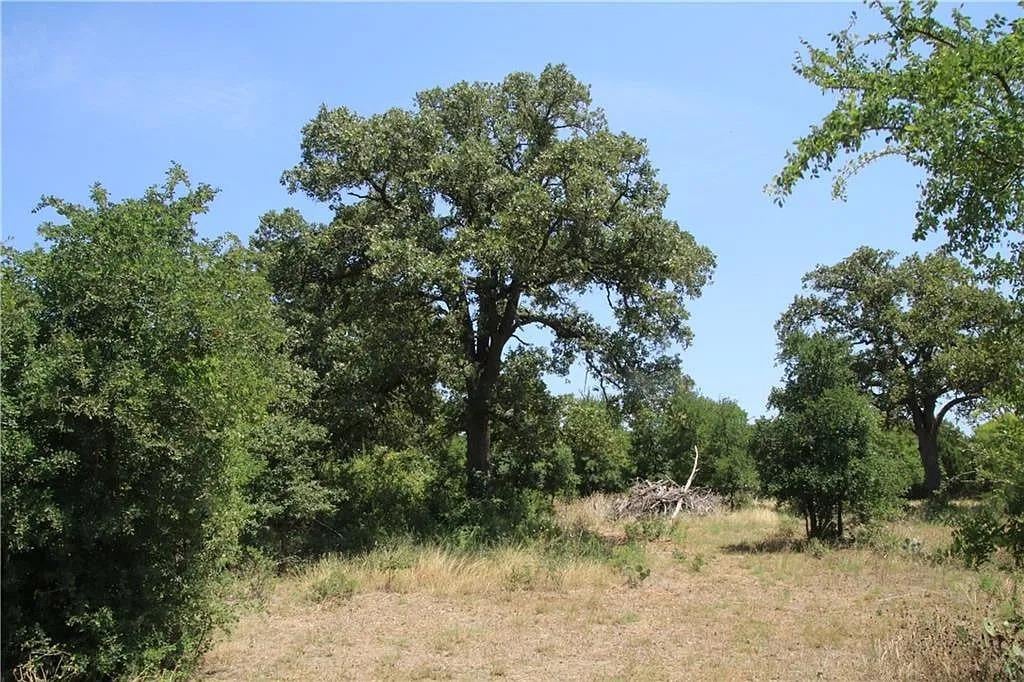 View 580 Whisper LN in Leander Transitional, Williamson County 580 Whisper LN - property photo 1 - Luxury lot in Leander Transitional, Williamson County, Georgetown, TX