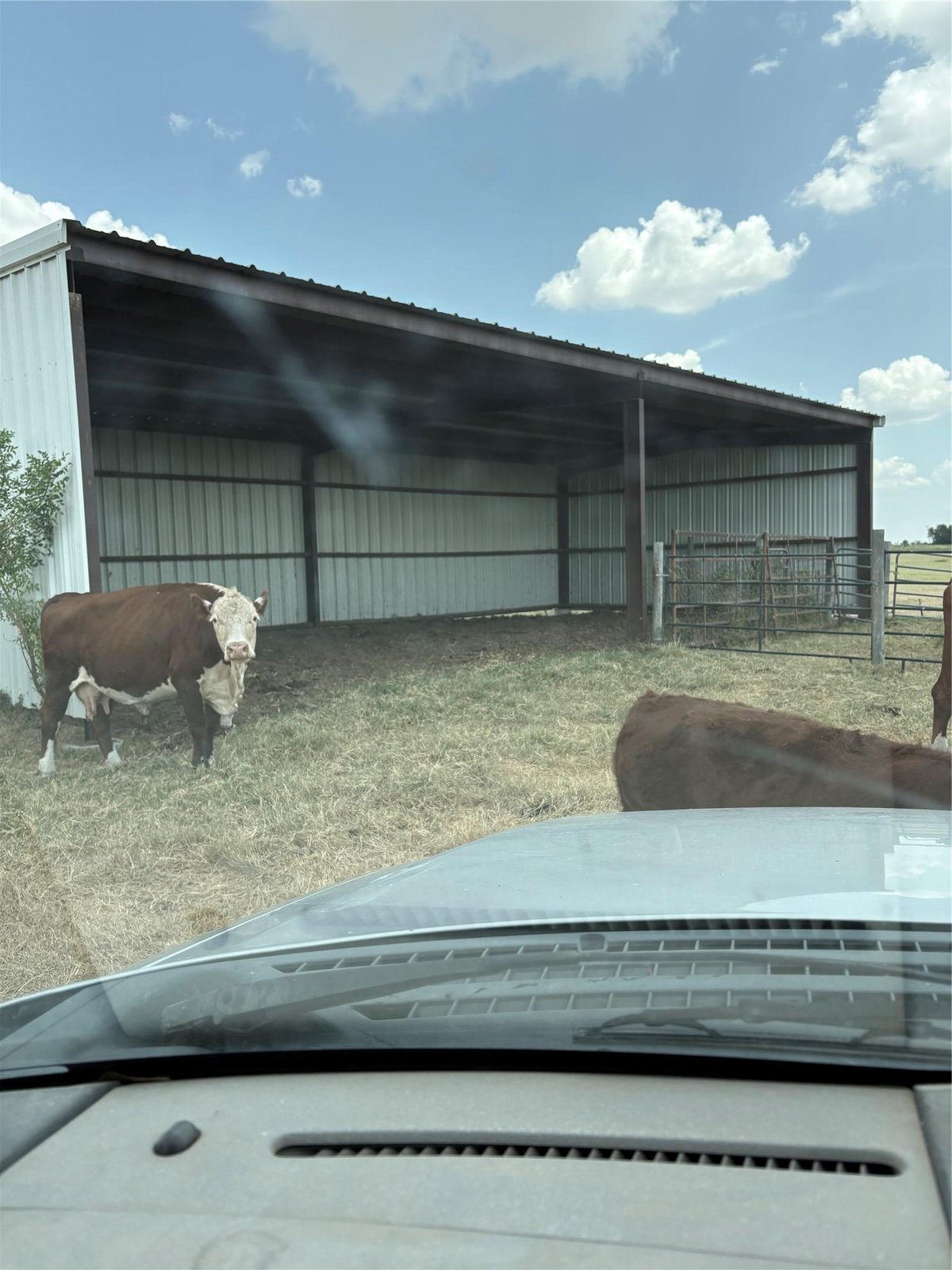 View 600 County Road 444 LAND in Thorndale 600 County Road 444 LAND, photo 1 of 2, Thorndale, Thorndale, TX