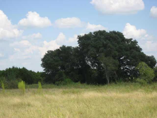 View 600 Double File TRCE 600 Double File TRCE - front exterior - Luxury lot in Liberty Hill, TX