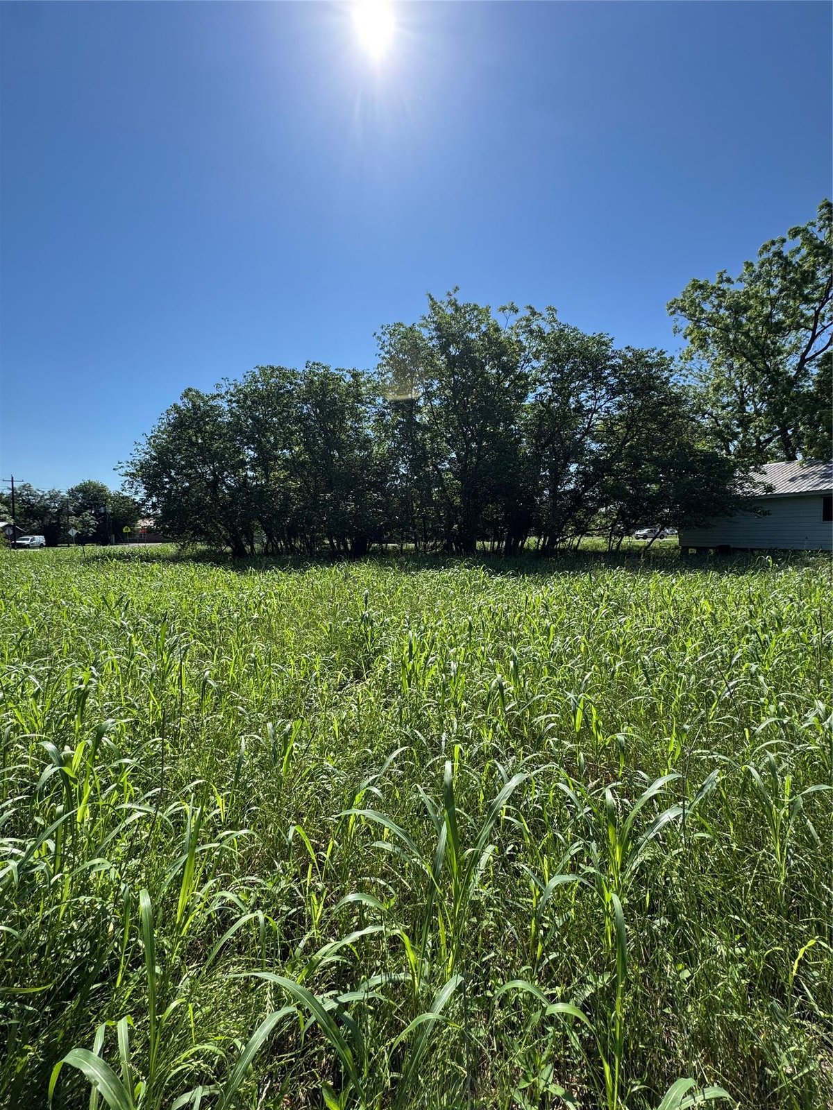 View 600 Gazley St in Wilson 600 Gazley St - front exterior - Luxury lot in Wilson, Smithville, TX