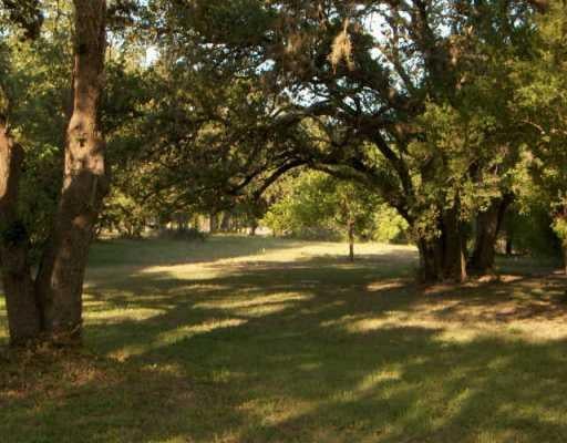 View 601 Arroyo Vista (1.7 a.) 601 Arroyo Vista (1.7 a.) - front exterior - Luxury lot in Manchaca, TX