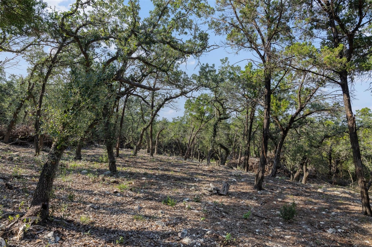 View 601 Mount Olive School RD in Wimberley 601 Mount Olive School RD, photo 1 of 22, Wimberley, Wimberley, TX