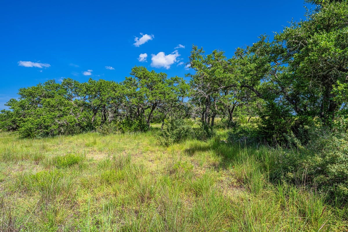 Primary bedroom at 613 Cattle Creek Rd - The Preserve at Walnut Springs, Johnson City, TX
