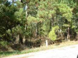 View 614A Cottletown RD 614A Cottletown RD - front exterior - Luxury lot in Smithville, TX