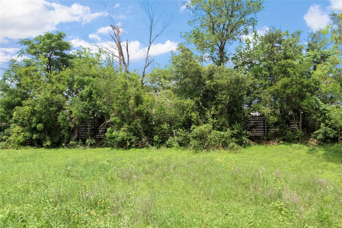 Primary bedroom at 633 Uhland Rd - None, San Marcos, TX