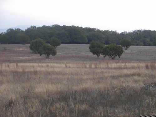 View 644 Cr 1225 644 Cr 1225 - front exterior - Luxury home in Lampasas, TX
