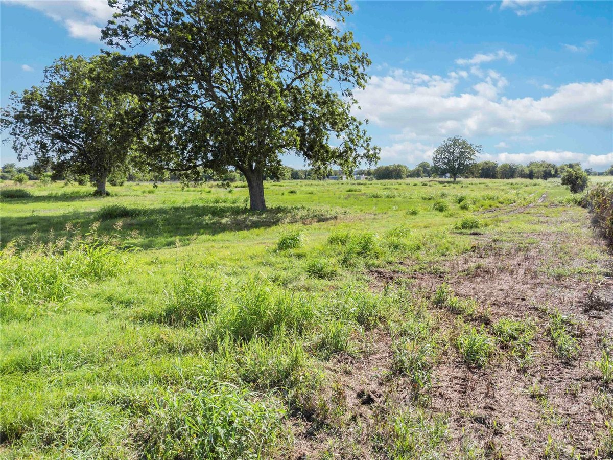 Primary bedroom at 660 American Legion Rd - 0, Smithville, TX
