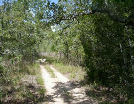 View 6607 Sandy Fork RD 6607 Sandy Fork RD - front exterior - Luxury home in Harwood, TX