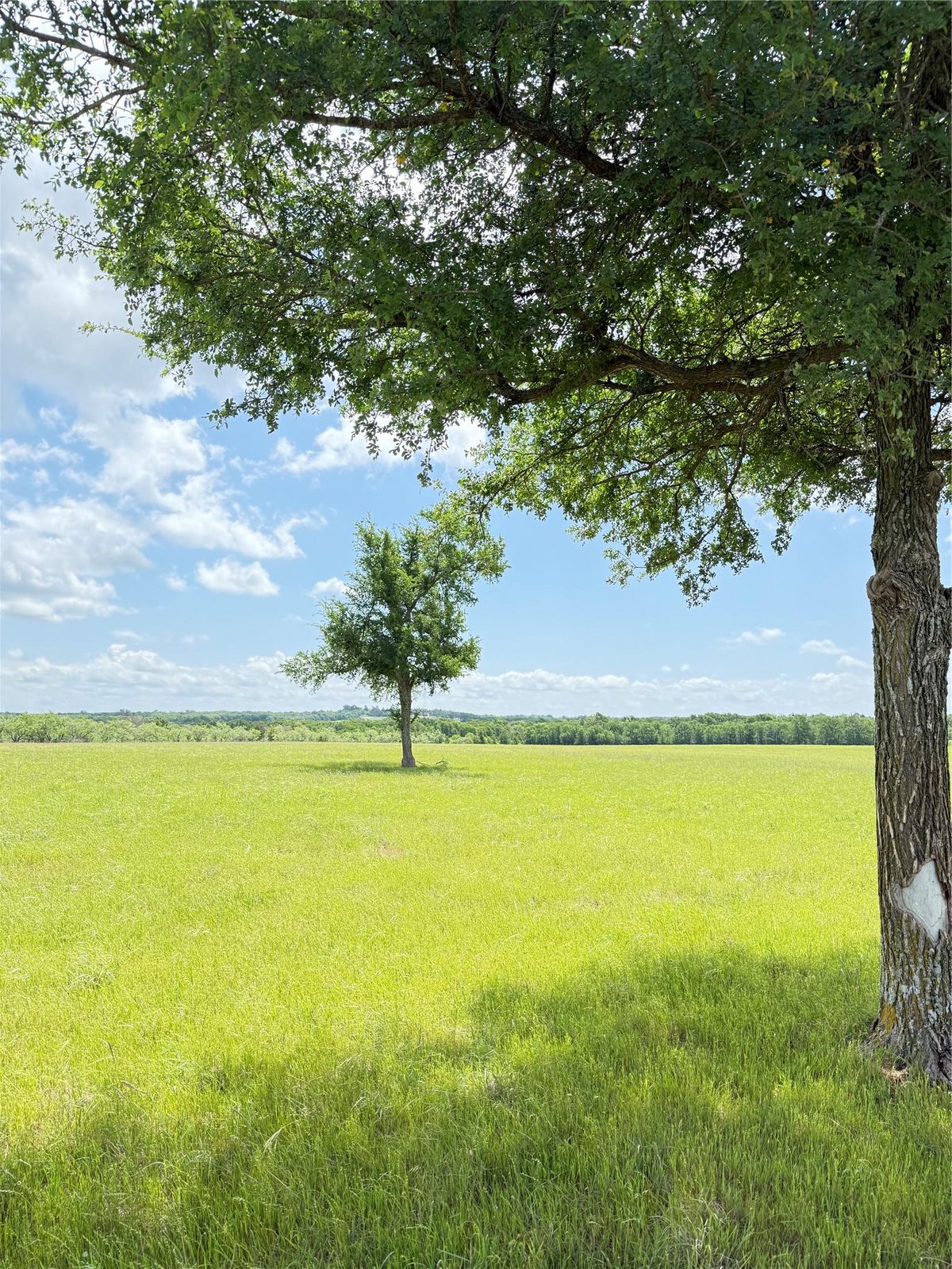 Primary bedroom at 674 County Road 309 - A0070 Chambers, T.J., Rockdale, TX