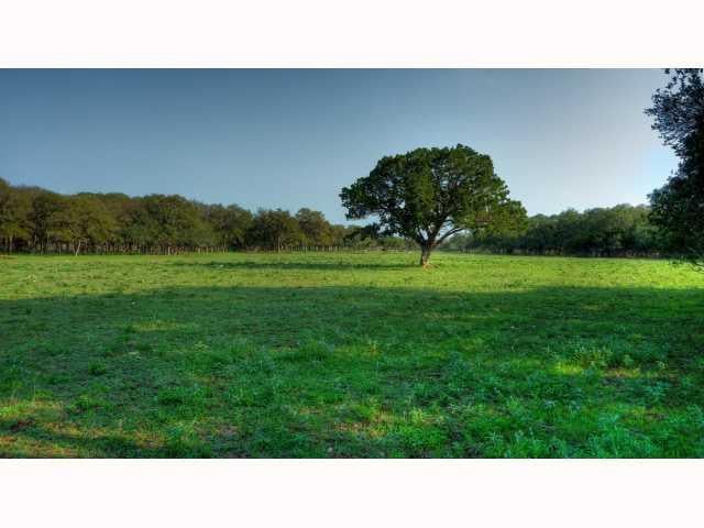 View 675 Cobb Creek RD 675 Cobb Creek RD - front exterior - Luxury home in Georgetown, TX