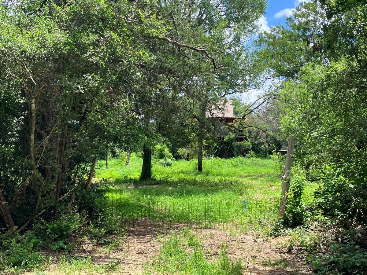 View 693 Saint Mary's Rd in Reid, Samuel H 693 Saint Mary's Rd - front exterior - Luxury lot in Reid, Samuel H, Rosanky, TX