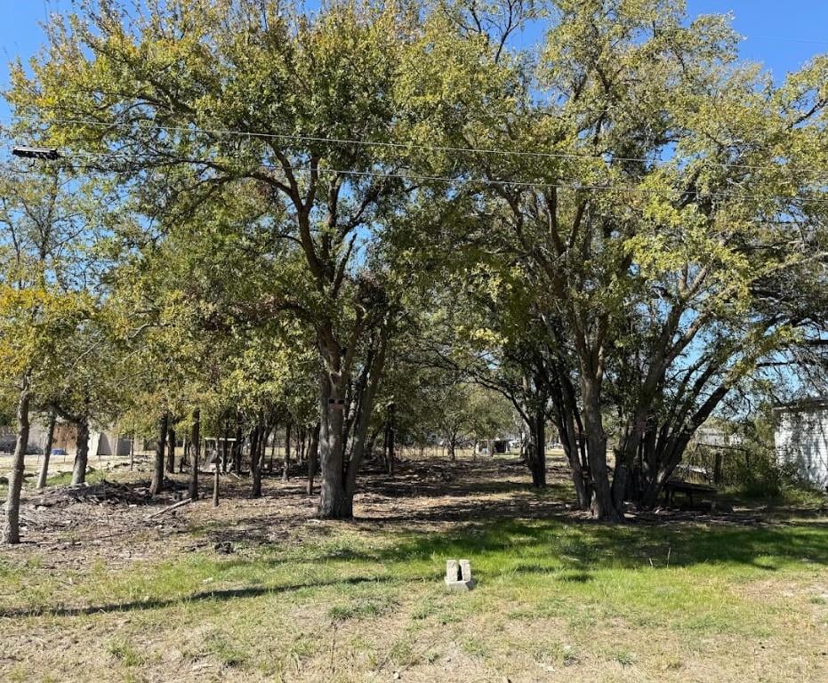 View 699 S Cotrell ST in Arb Bartlett 699 S Cotrell ST - front exterior - Luxury lot in Arb Bartlett, Bartlett, TX