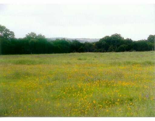 View 7000 Mt. Sharp 7000 Mt. Sharp - front exterior - Luxury home in Wimberley, TX