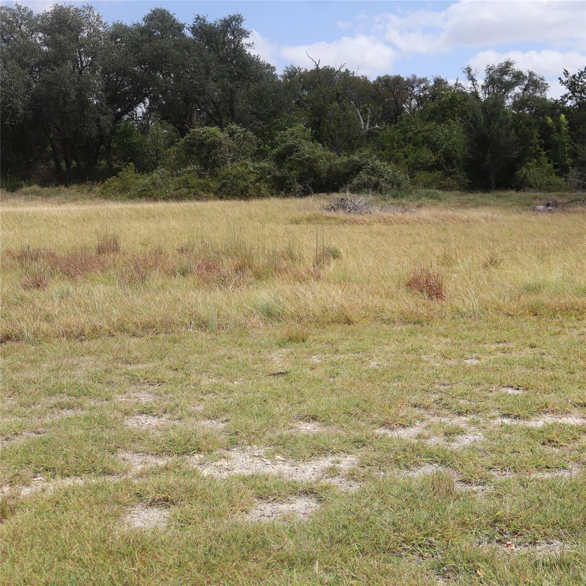 701 Rawhide LN - property photo 1 - Luxury lot in San Augustin, Florence, TX
