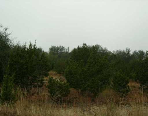 View 704 Stow DR 704 Stow DR - front exterior - Luxury lot in Spicewood, TX