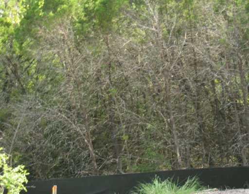 View 7101 Greenshores DR in Austin 7101 Greenshores DR, photo 1, Austin, Austin, TX