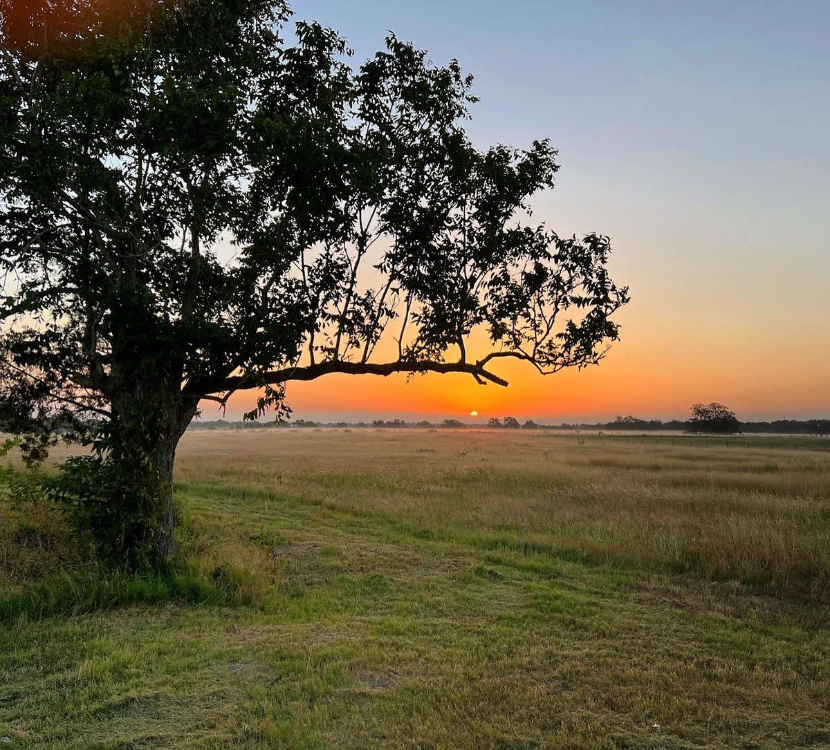 View 7194 Goehring Rd in Ledbetter 7194 Goehring Rd, photo 1 of 15, Ledbetter, Ledbetter, TX