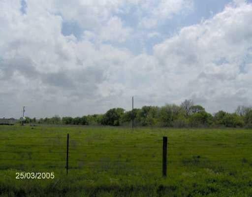 View 720 County Road 471 720 County Road 471 - front exterior - Luxury home in Thrall, TX