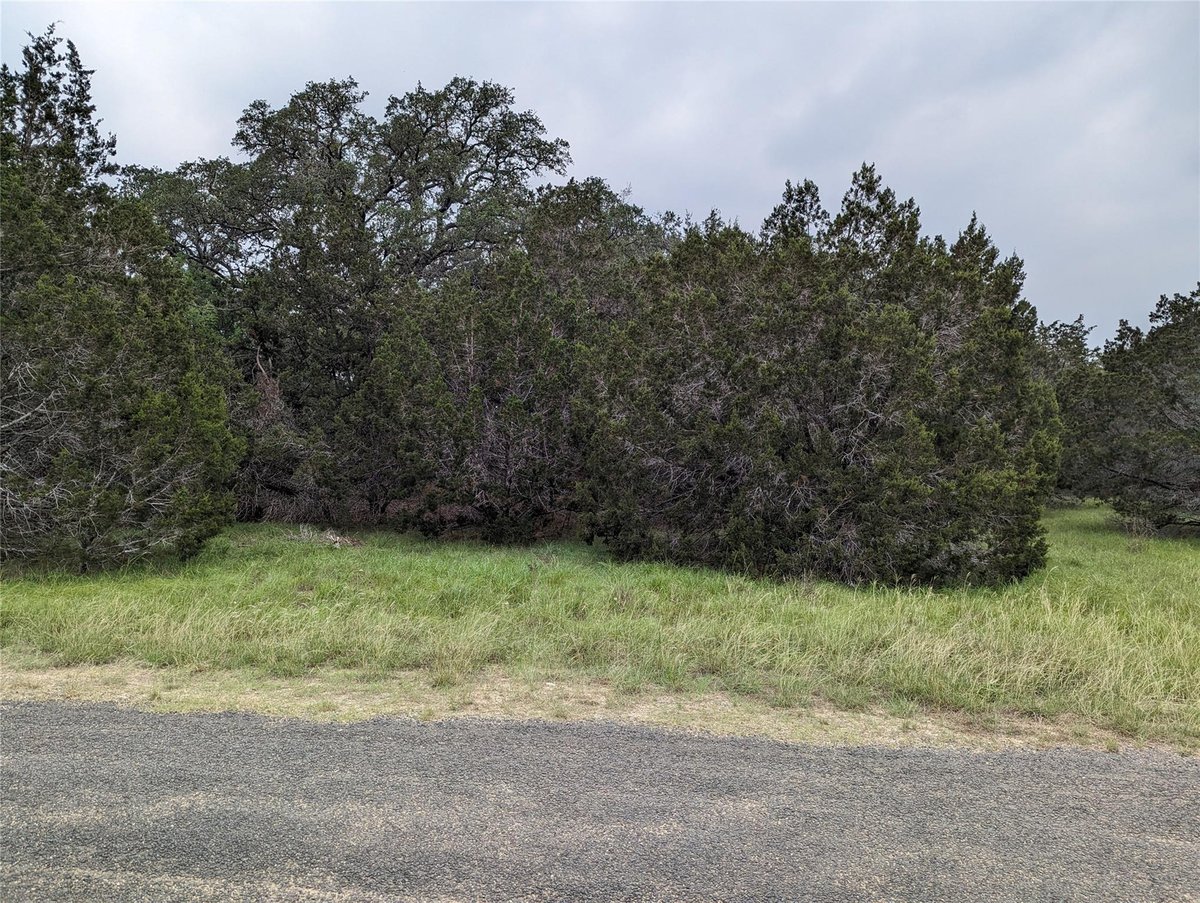 View 73 E Valley Spring Rd in Woodcreek Sec 9-A 73 E Valley Spring Rd - front exterior - Luxury lot in Woodcreek Sec 9-A, Wimberley, TX