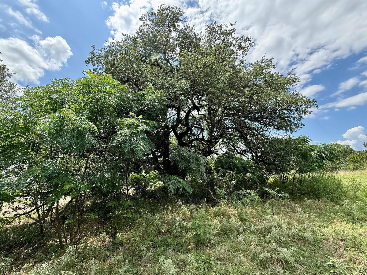 View 731 Santa Maria RD in none 731 Santa Maria RD - property photo 1 - Luxury lot in none, Salado, TX