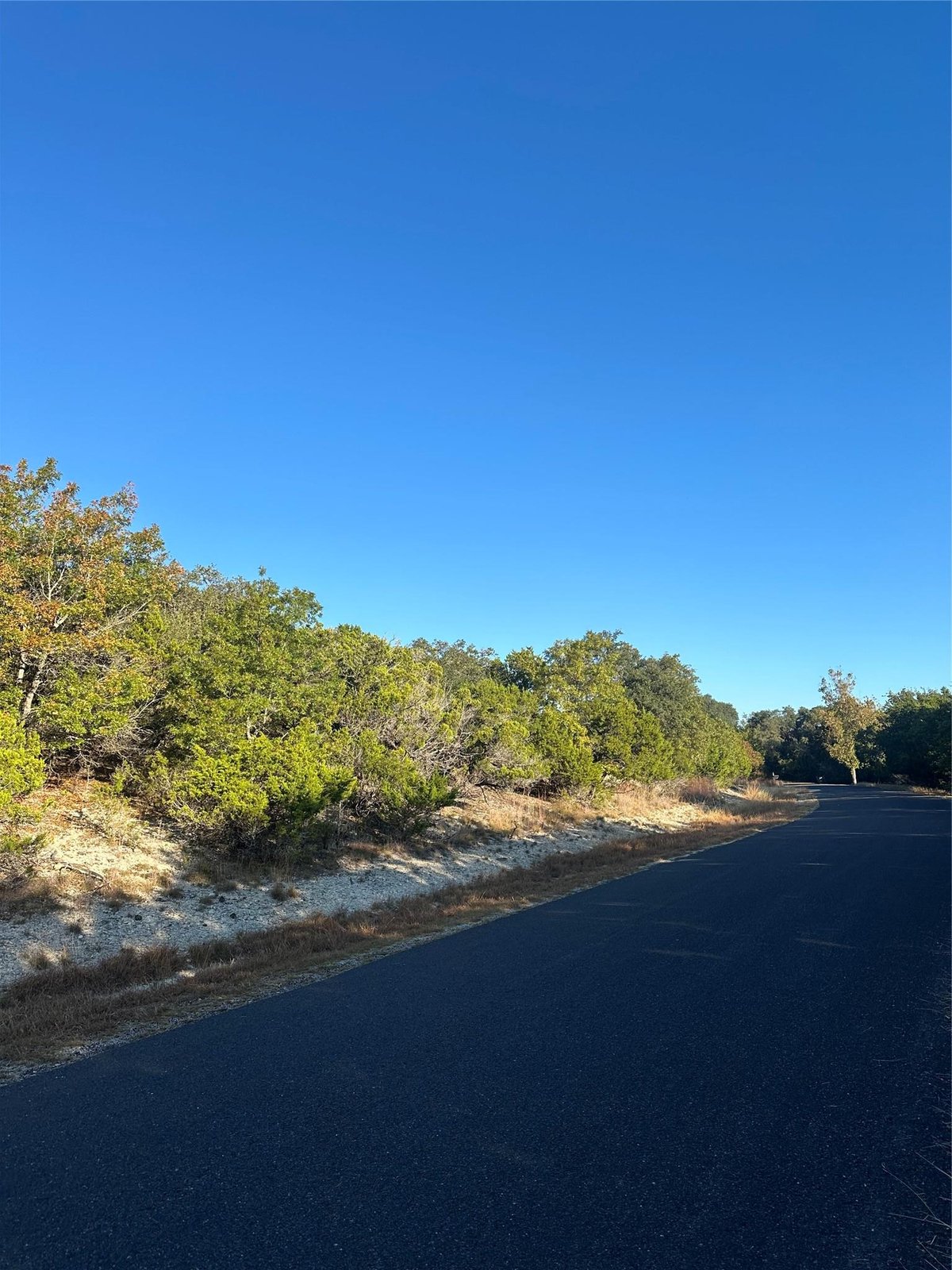 Primary bedroom at 7397 Amber Rene Dr - Sherwood Shores Sec I, Belton, TX