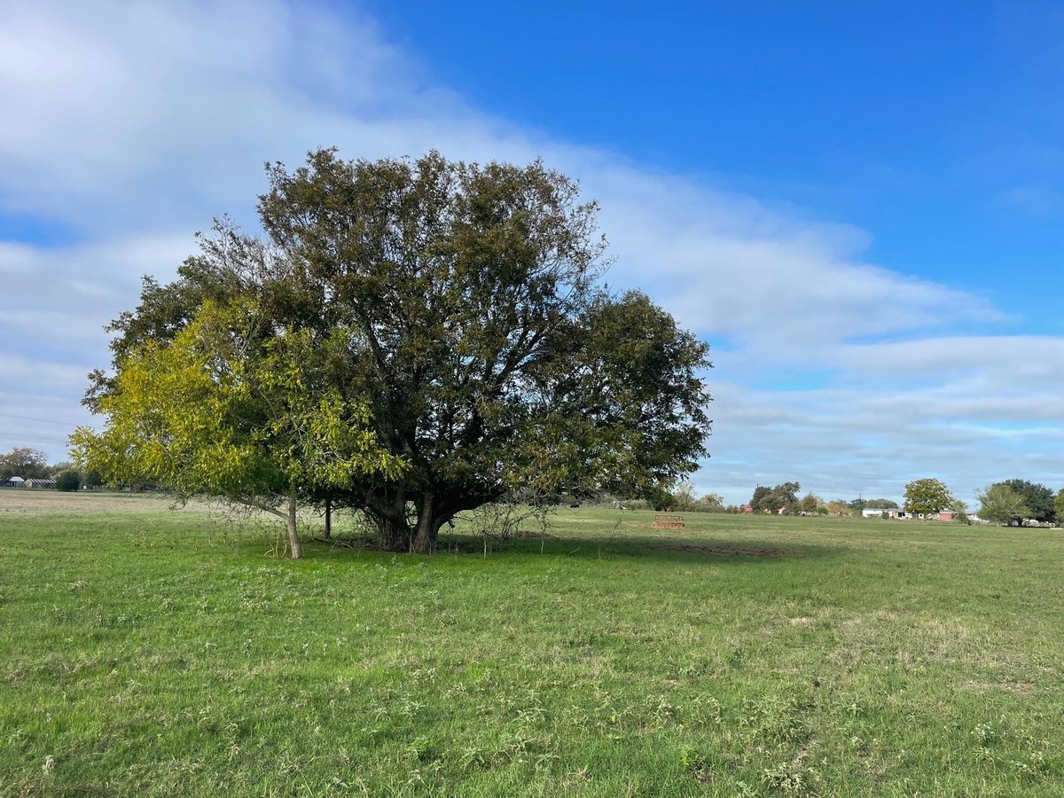 View 741 Muzny Ln in A Castleman Lg 741 Muzny Ln - front exterior - Luxury lot in A Castleman Lg, La Grange, TX