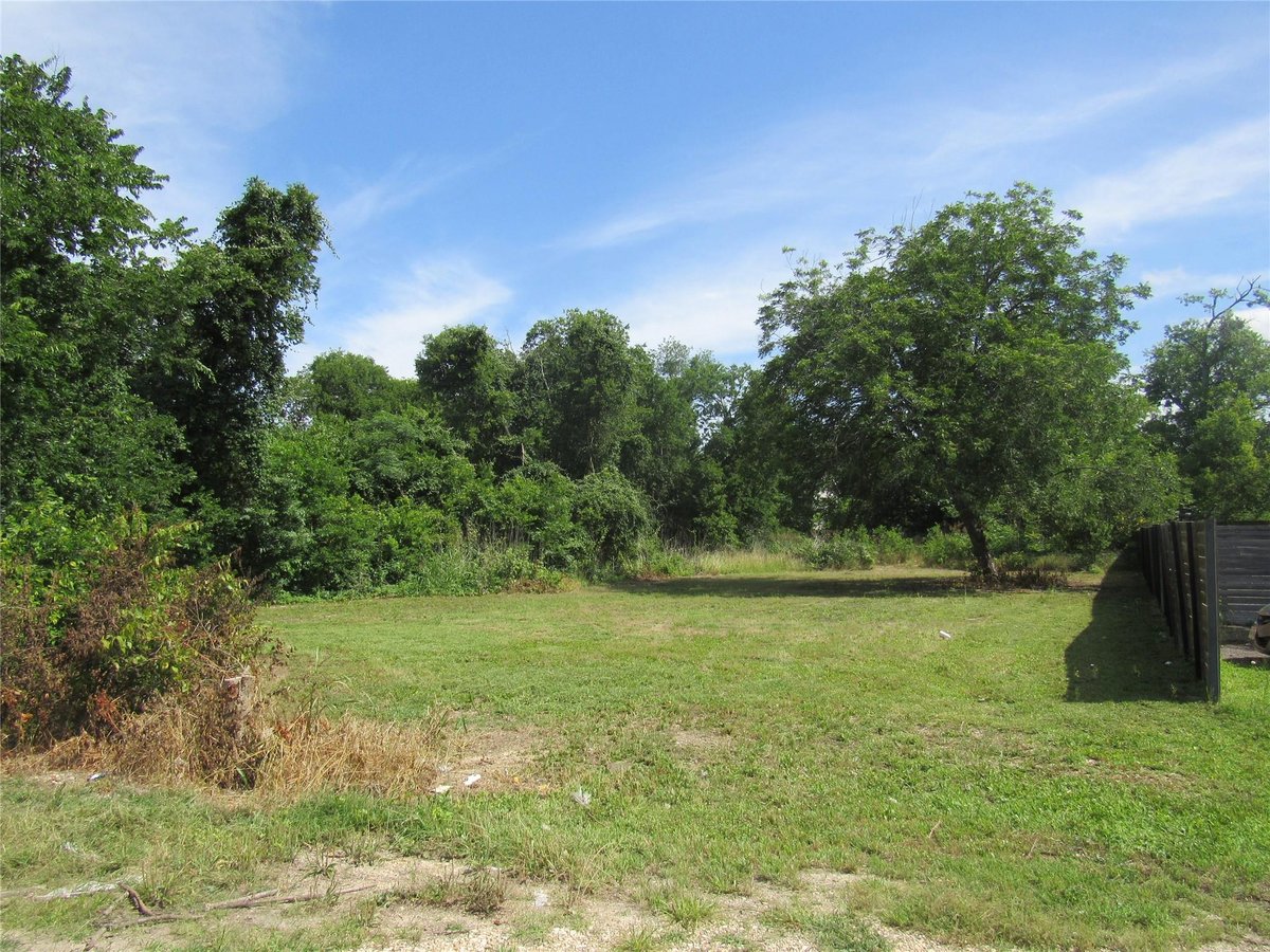 View 748 W Elm ST in Arb Bartlett 748 W Elm ST - front exterior - Luxury lot in Arb Bartlett, Bartlett, TX