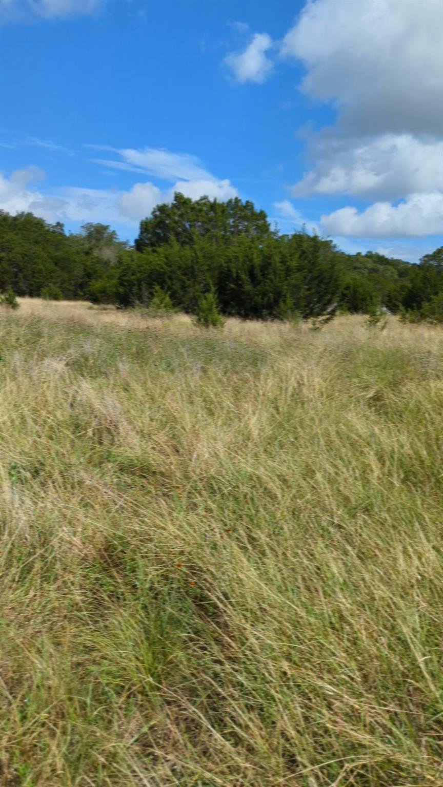 View 757 Rabbit Ave in Hill Country Ranches 757 Rabbit Ave - front exterior - Luxury lot in Hill Country Ranches, Wimberley, TX
