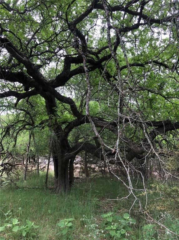 Living area at 76 E Valley Springs Rd - Woodcreek Sec 9-A, Wimberley, TX