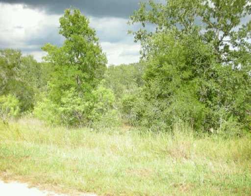 View 7619 Nez Perce TRCE 7619 Nez Perce TRCE - front exterior - Luxury lot in Manor, TX