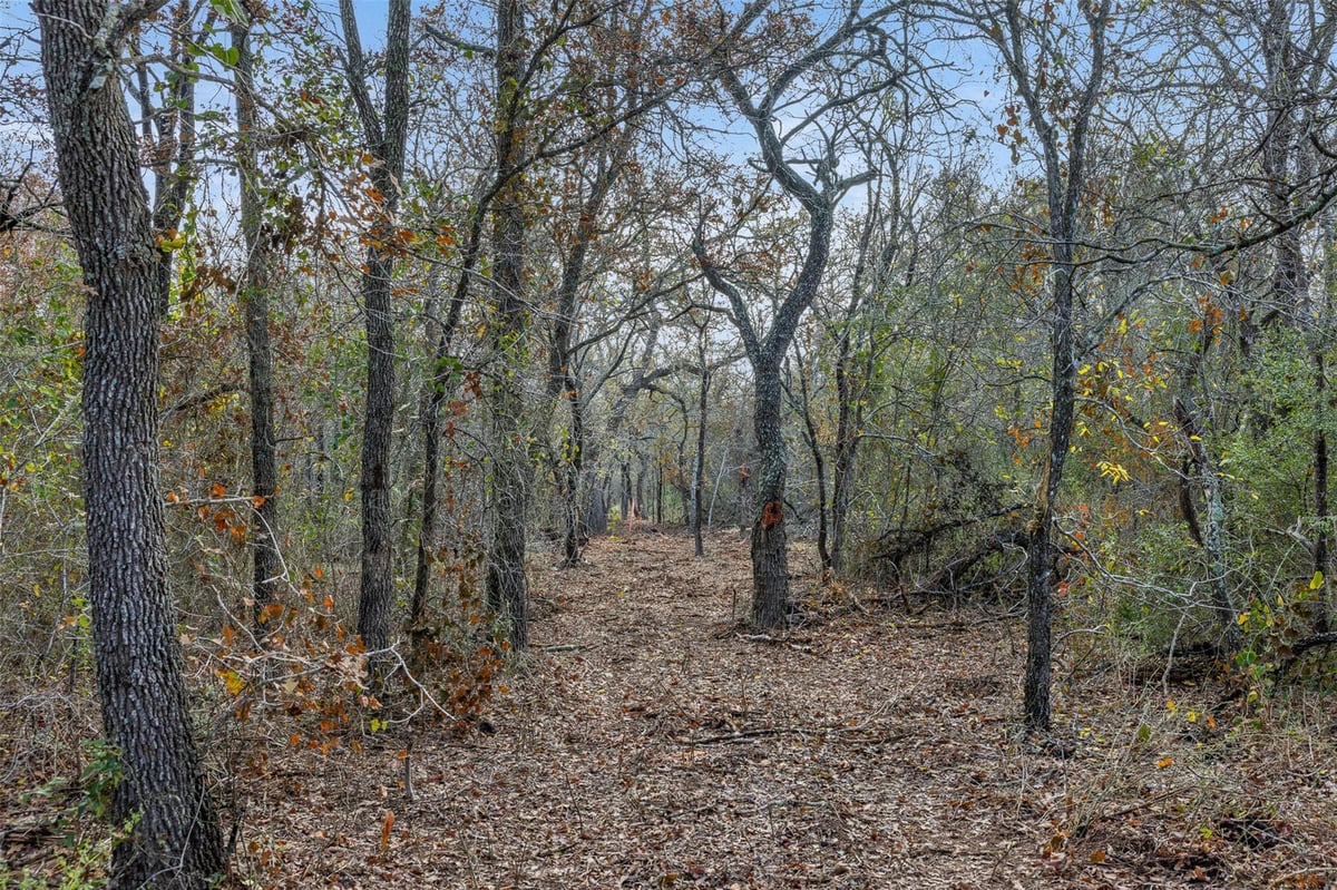 View 766 Bugtussle Ln in Paso Fino Meadows 766 Bugtussle Ln - front exterior - Luxury lot in Paso Fino Meadows, Luling, TX