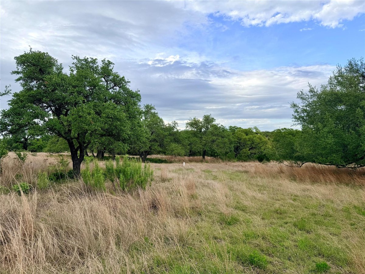 View 768 N Walnut Springs RD in The Preserve At Walnut Spgs 768 N Walnut Springs RD - front exterior - Luxury lot in The Preserve At Walnut Spgs, Johnson City, TX
