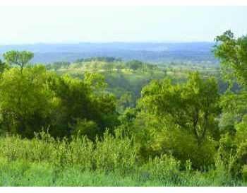 View 7740 Lynchberg 7740 Lynchberg - front exterior - Luxury lot in Austin, TX