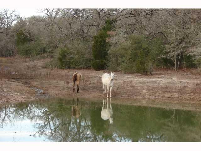 View 78.8 acres Red Sand TRL 78.8 acres Red Sand TRL - property photo 1 - Luxury home in Dale, TX