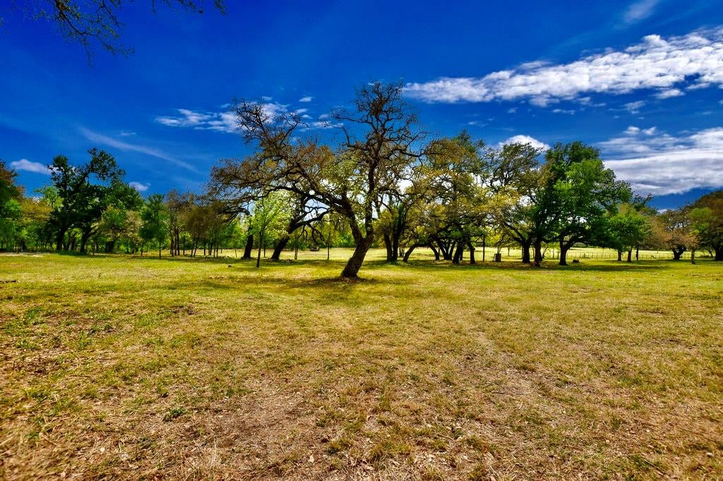 Primary bedroom at 7908 Cr 404 - NONE, Spicewood, TX