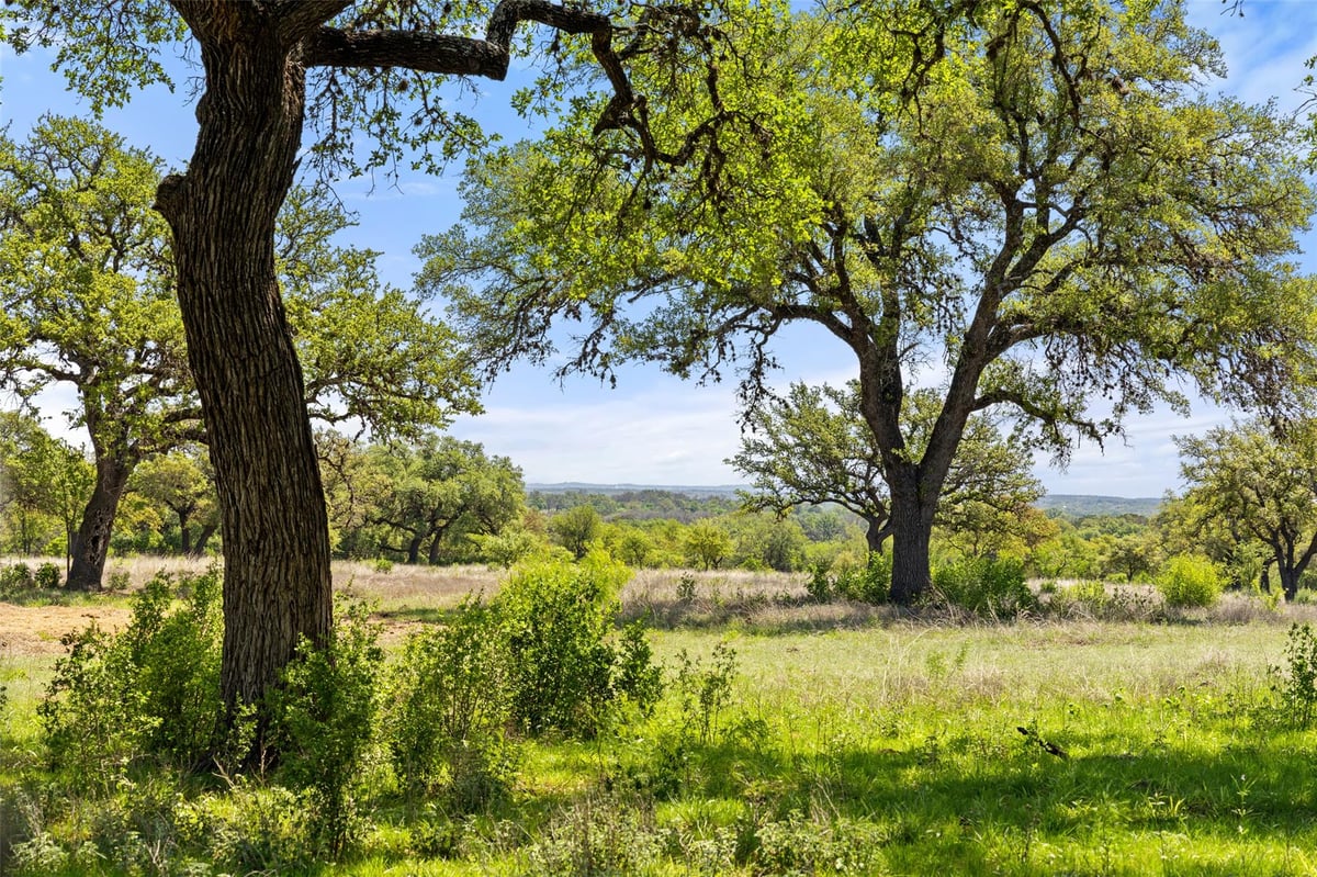 View 795 Gibson RD in none 795 Gibson RD - front exterior - Luxury home in none, Johnson City, TX