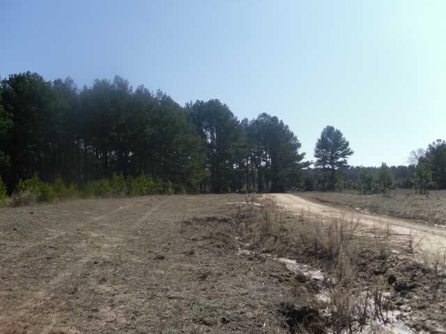 View 797 Knobbs RD 797 Knobbs RD - front exterior - Luxury home in McDade, TX