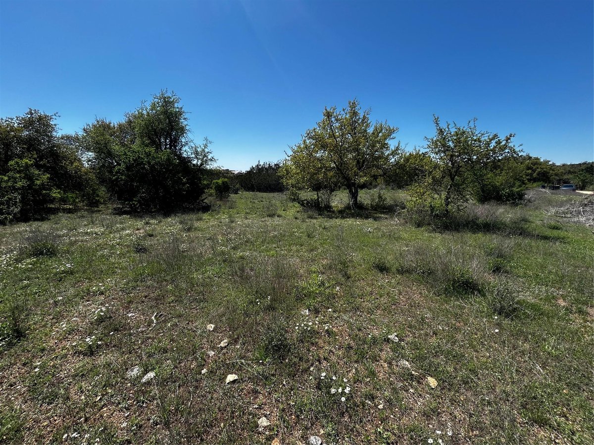 Primary bedroom at 799 Bell Springs Rd - Dripping Springs, TX