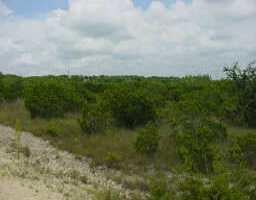 View 8 Acres 8 Acres - front exterior - Luxury lot in Johnson City, TX